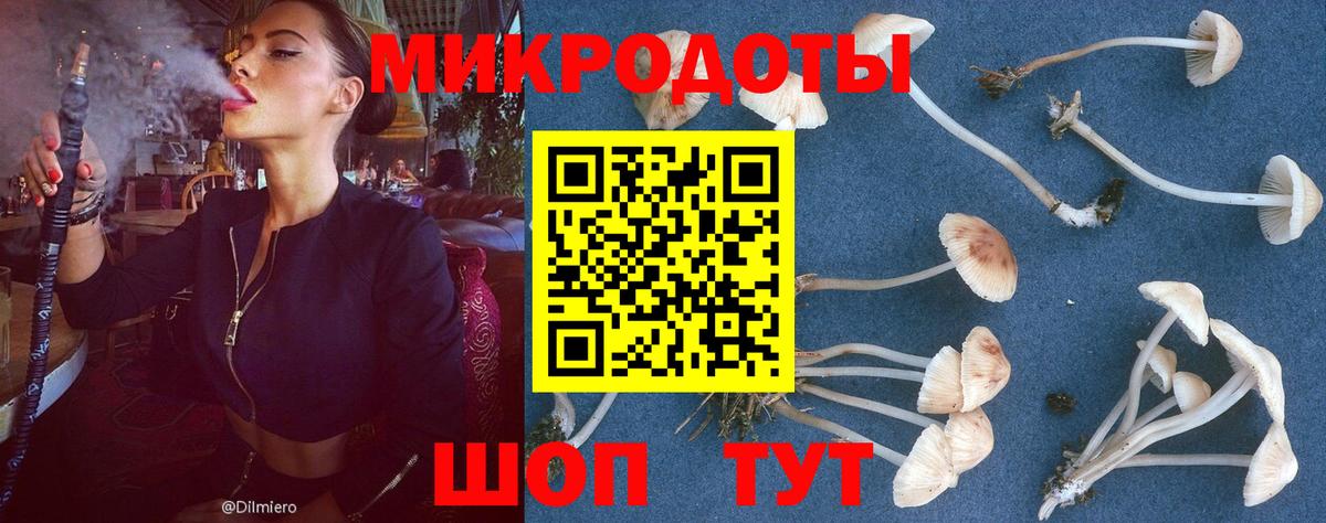 Псилоцибиновые грибы MAGIC MUSHROOMS Вятские Поляны