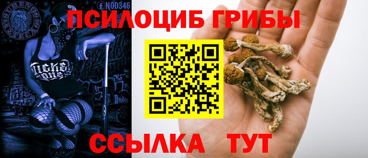 Псилоцибиновые грибы MAGIC MUSHROOMS  Галлюциногенные грибы Cubensis  Вятские Поляны  Вход с VPN 